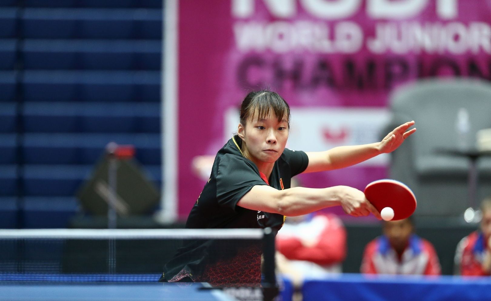 第三方代码 第三方代码